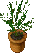 Ultima Online RareFlowerPot2