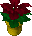 Ultima Online RarePoinsettiaRed