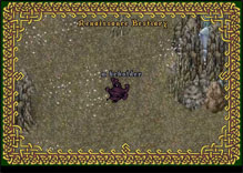 Ultima Online Beholder