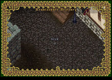 Ultima Online Bird