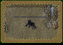 Ultima Online BlackSolenInfiltratorWarrior