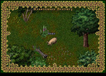 Ultima Online Boar