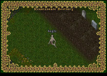 Ultima Online Bogle