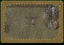 Ultima Online BoneKnight