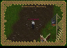 Ultima Online Brigand