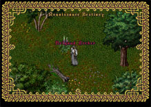 Ultima Online BrigandArcher