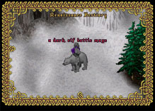 Ultima Online DarkElfBattleMage