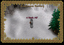 Ultima Online DarkElfMage