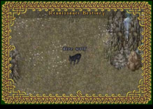 Ultima Online DireWolf