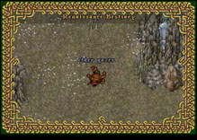 Ultima Online ElderGazer