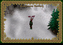 Ultima Online ElfMacer