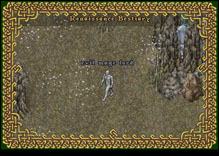 Ultima Online EvilMageLord