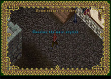 Ultima Online HairStylist