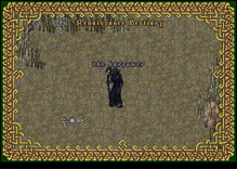 Ultima Online Harrower