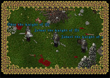 Ultima Online FodderKnight