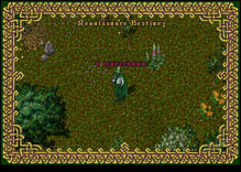 Ultima Online Leprechaun