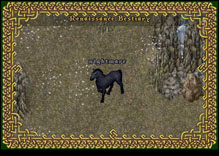 Ultima Online Nightmare