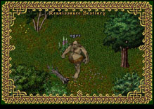 Ultima Online Ogre