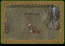 Ultima Online OphidianMage