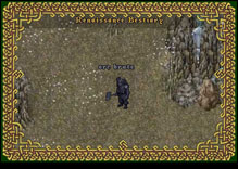 Ultima Online OrcBrute