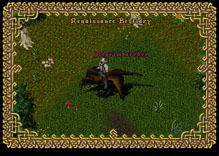 Ultima Online TurkeyArcher