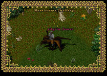 Ultima Online TurkeyFencer