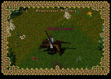 Ultima Online TurkeyMacer