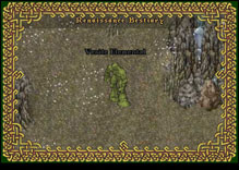 Ultima Online VeriteElemental