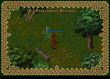 Ultima Online WanderingHealer