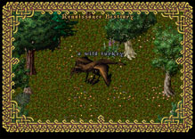 Ultima Online WildTurkey1