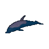 Ultima Online Dolphin