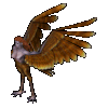 Ultima Online Harpy