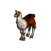 Ultima Online Llama