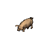 Ultima Online Pig