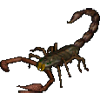 Ultima Online Scorpion