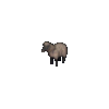 Ultima Online Sheep
