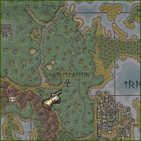 Ultima Online Compendium