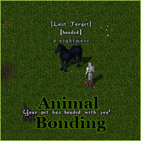 Ultima Online Pet Bonding